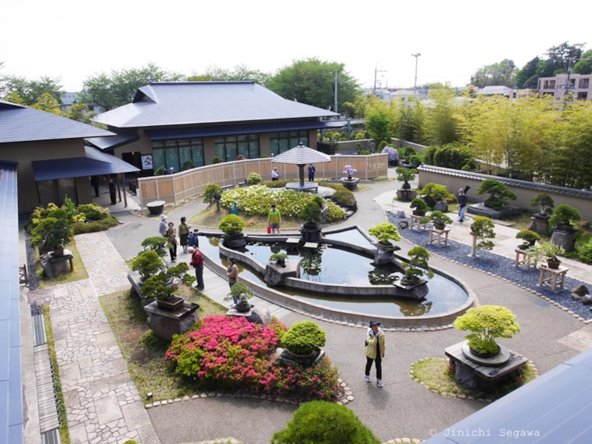 Omiya Bonsai Art Museum