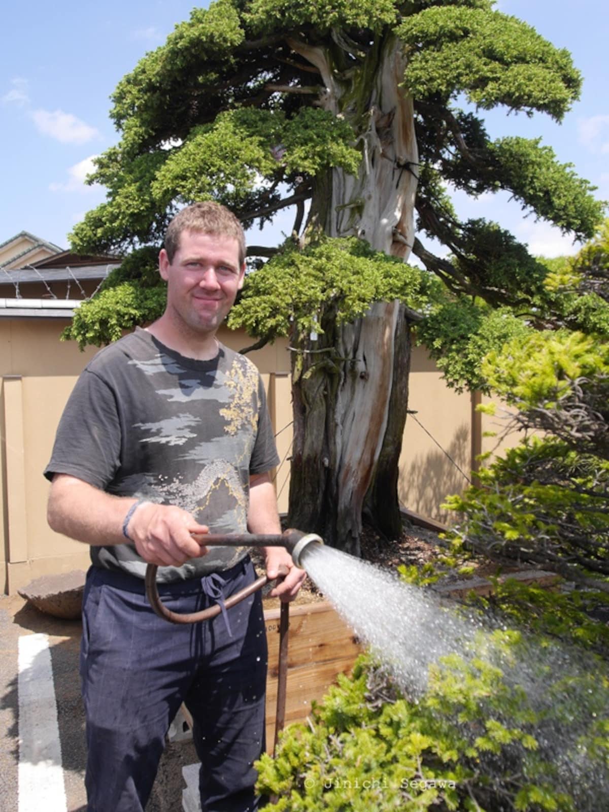 International Interest in Bonsai