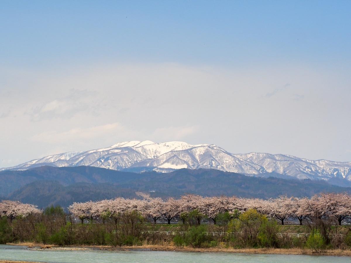 ■ 高山