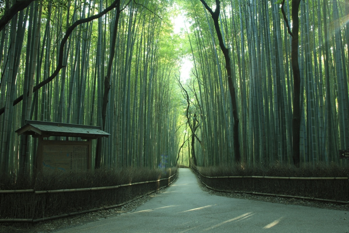 Arashiyama