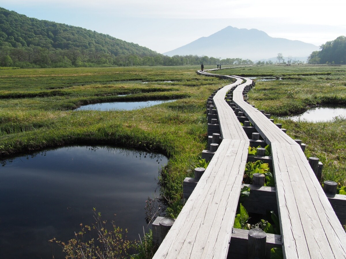 2. Gunma: Go Trekking at Oze National Park