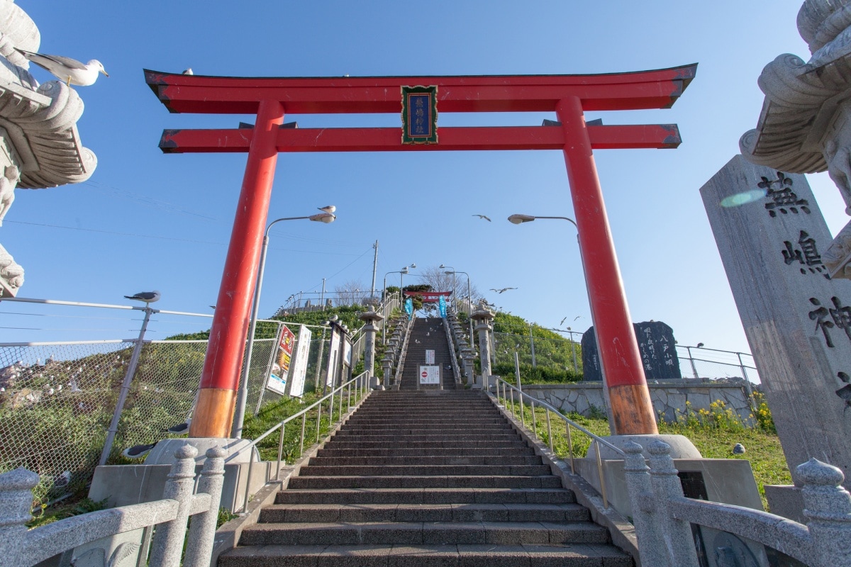 東北之旅必遊神社 到蕪嶋神社與成群海鷗相會 All About Japan