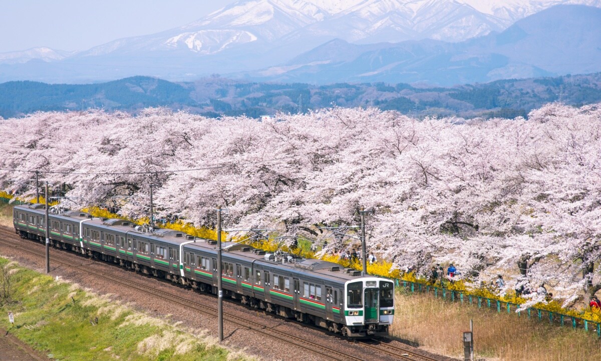 รถไฟธรรมดา Local