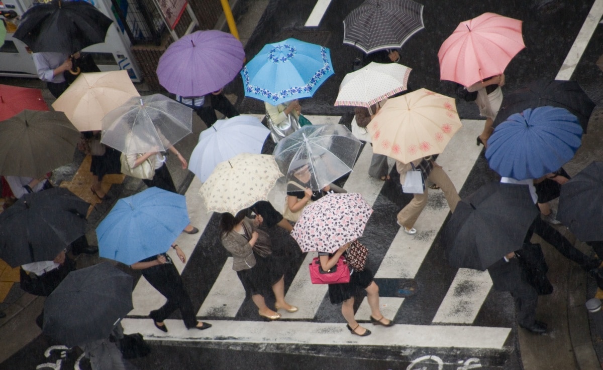 雨季什么时候开始