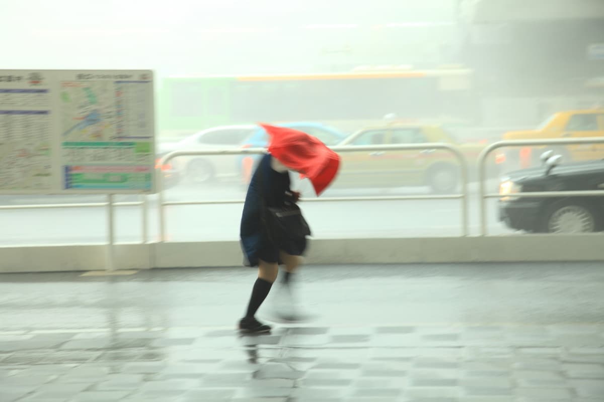 台风季节不要来