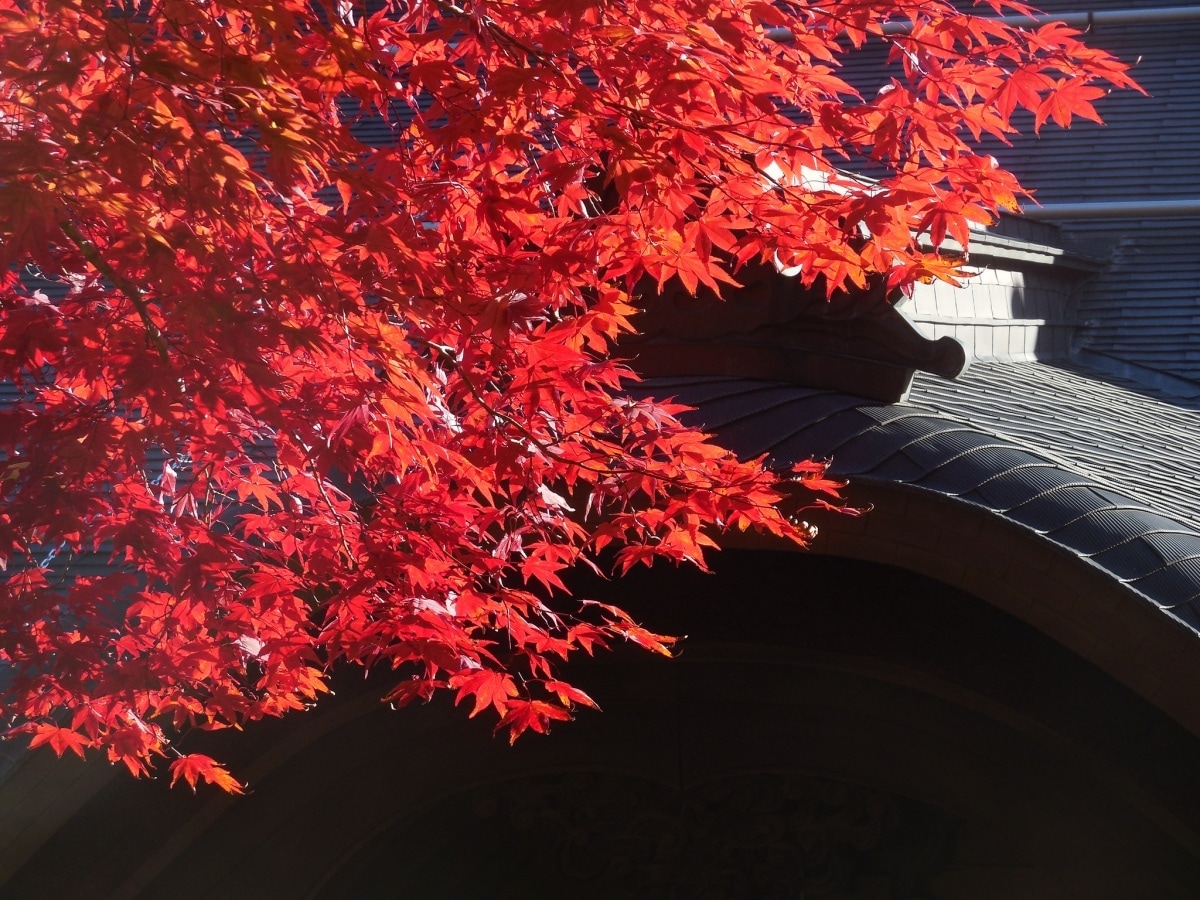 4. Mount Koya