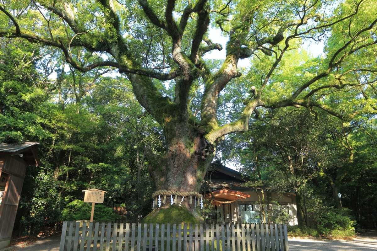 9. Atsuta Jingu (Aichi)