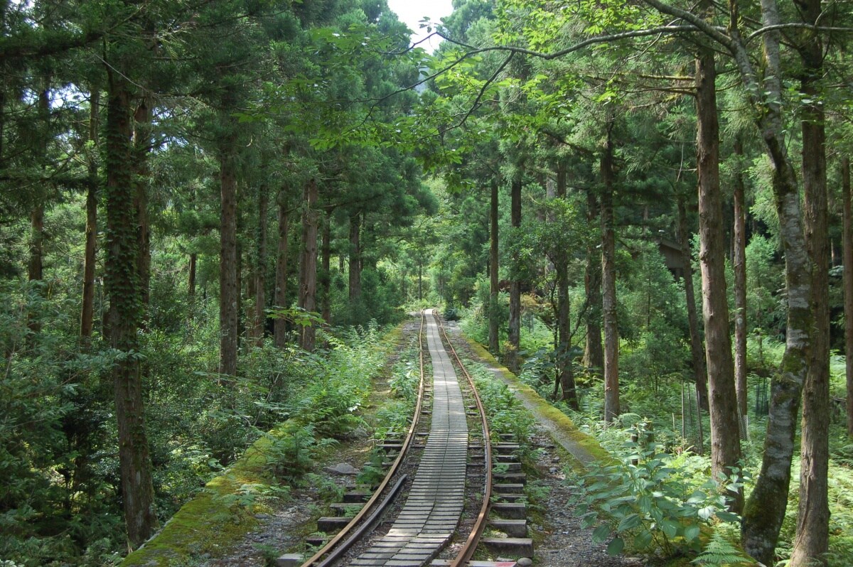 1. เกาะ Yakushima (Kagoshima)