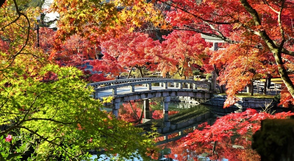 TOP12｜京都・禅林寺 永观堂