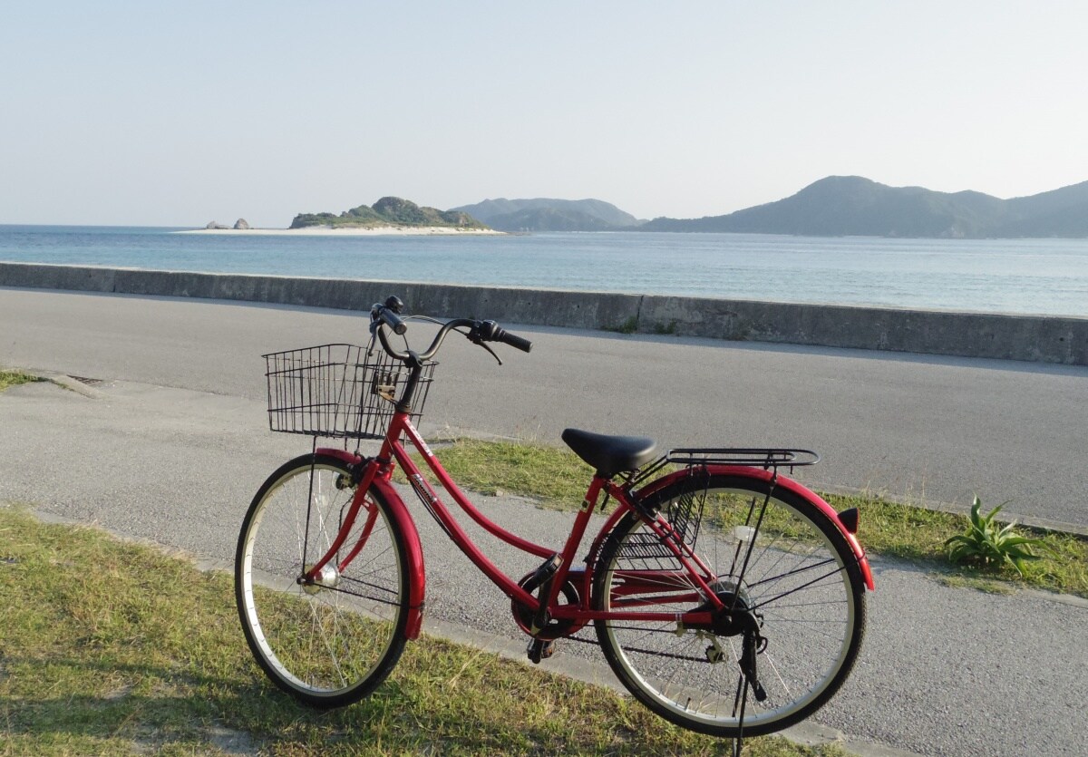 4. Enjoy Long Drives or Leisurely Biking