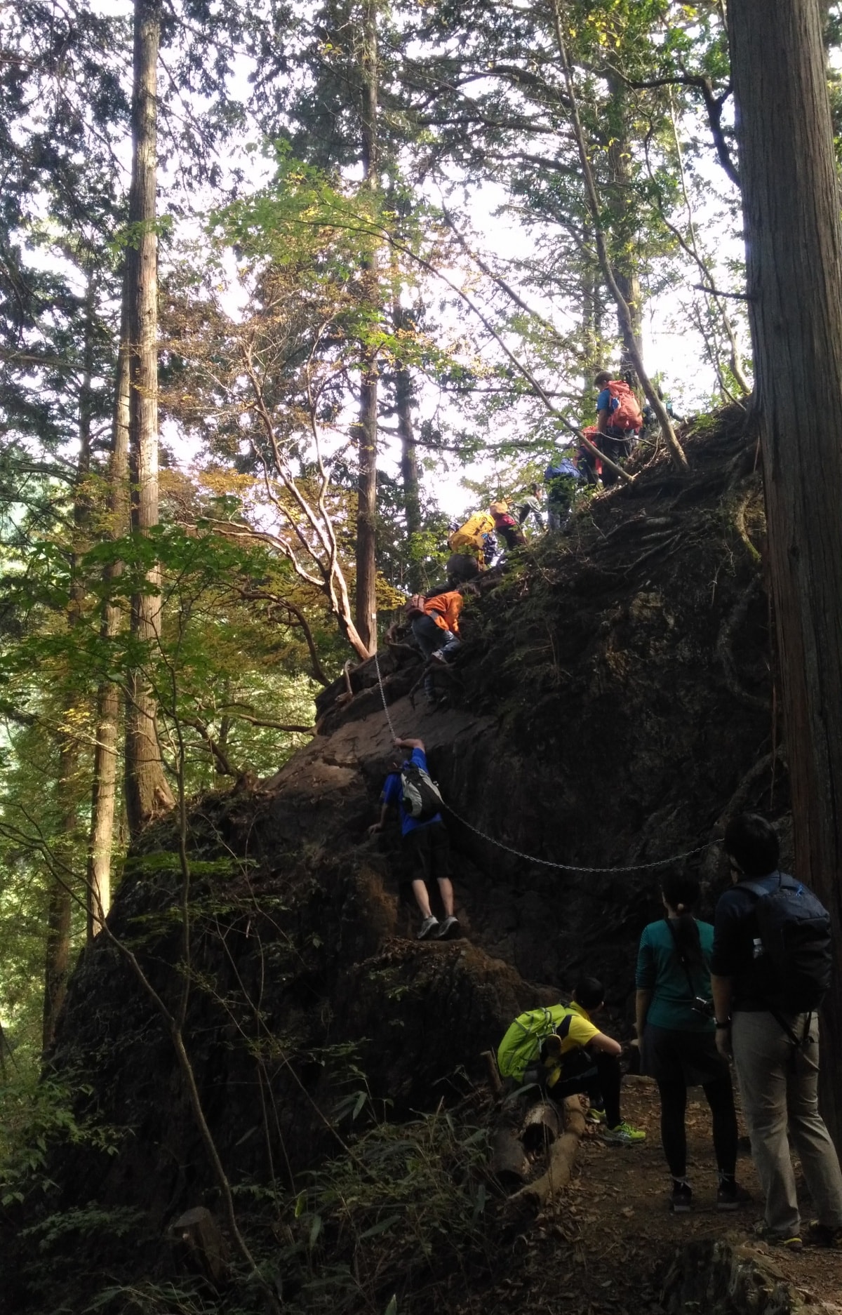 4. Tackle Tokyo's Highest Point (Mount Odake)