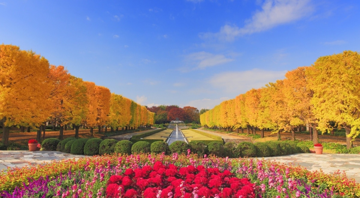 國營昭和紀念公園【東京都立川市】