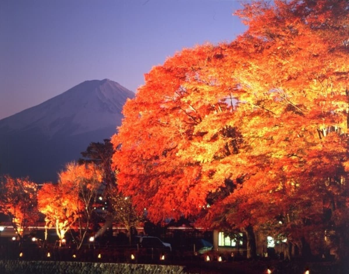 河口湖北岸（紅葉迴廊）【山梨縣富士河口湖町】