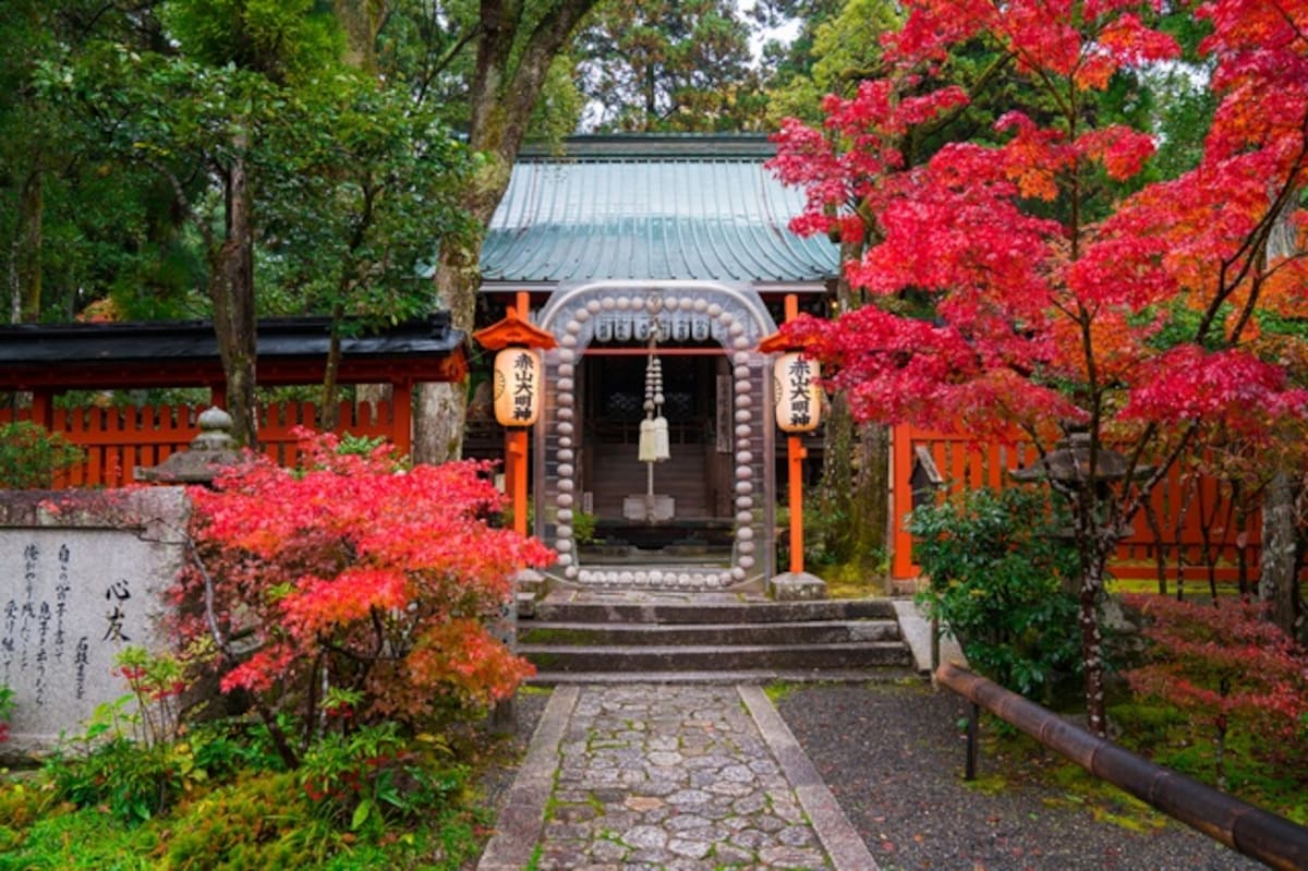 感受泰山力量的紅葉景點｜赤山禪院