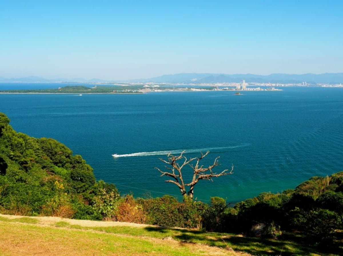 四季花海中的浪漫│能古島海島公園