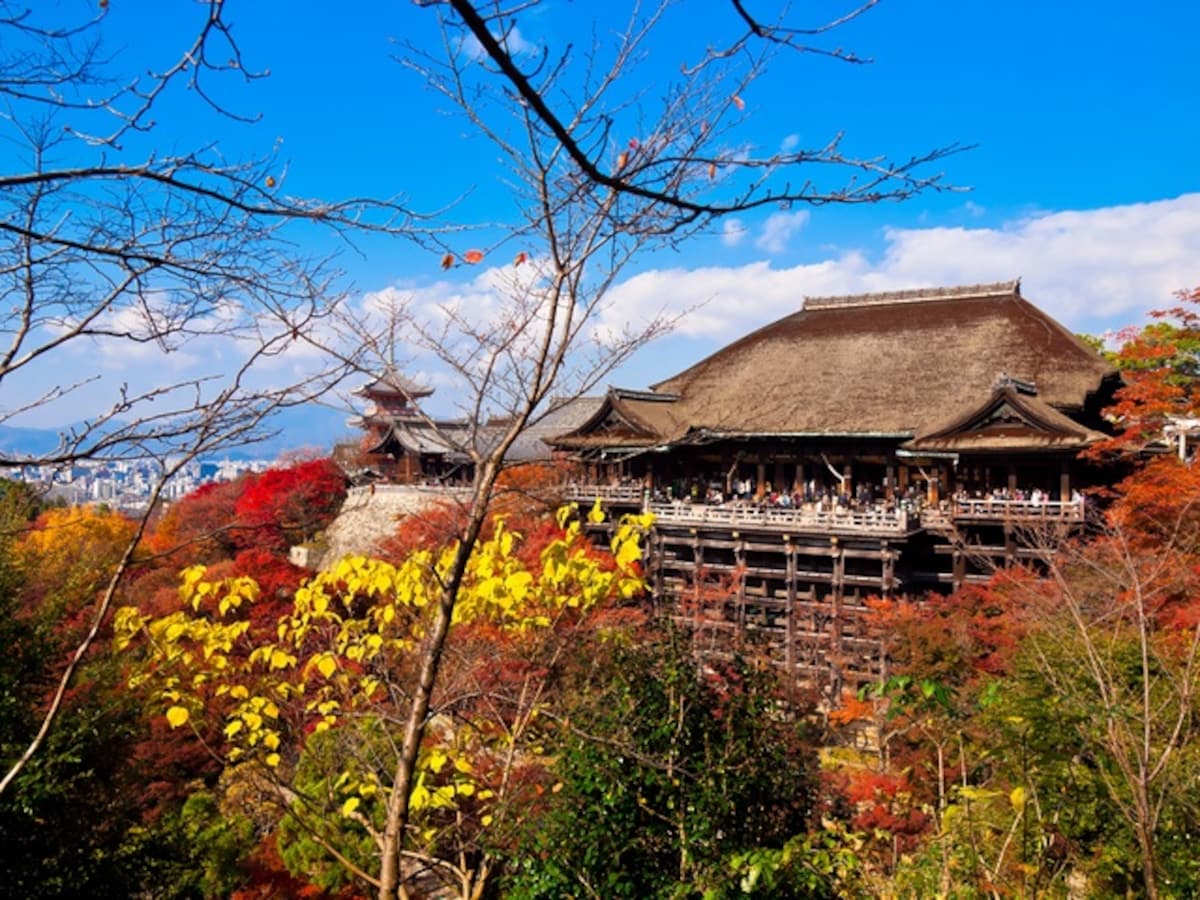 日本通養成入門講座 神社 寺院傻傻分不清 正確參拜方式看這裡 All About Japan