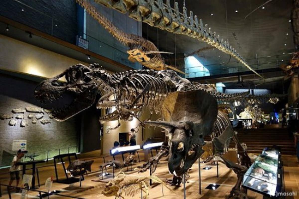 9. พิพิธภัณท์ประวัติศาสตร์ Museum of Natural History and Human History เมือง Kitakyushu (Fukuoka)