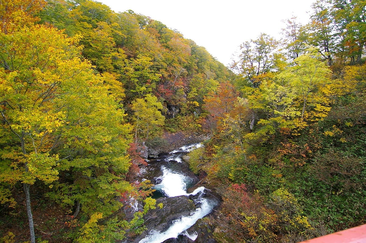 Hokkaido & Tohoku