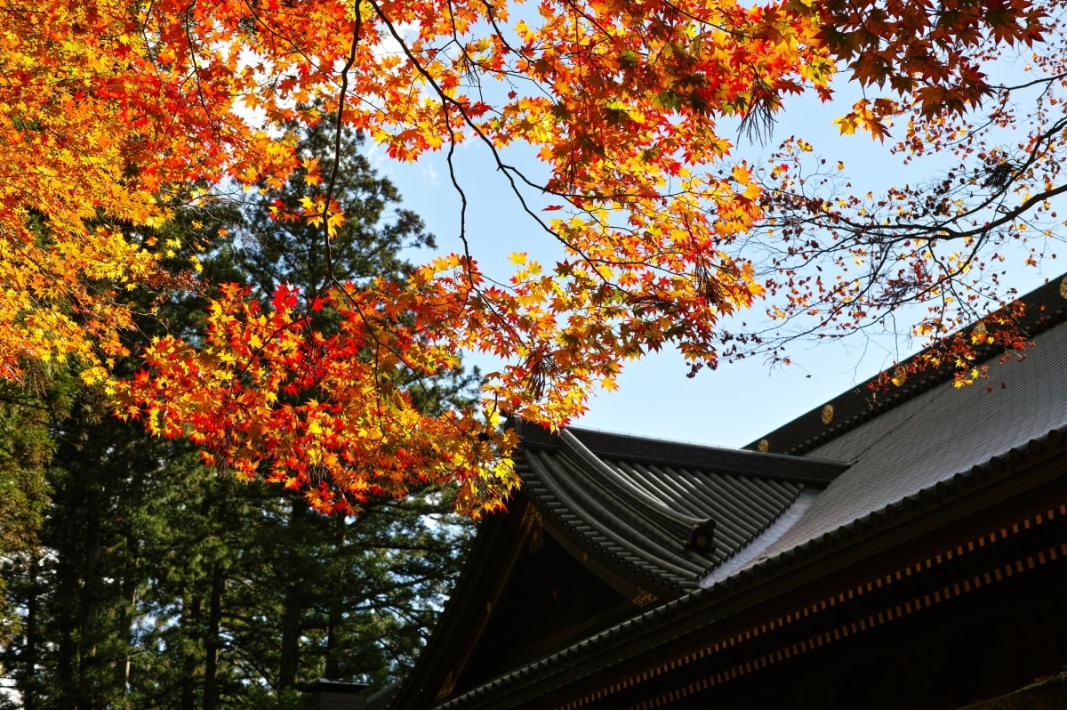 Toshogu Shrine