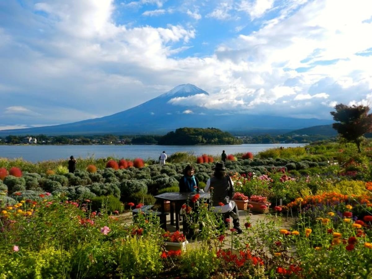 6. Appreciate the seasons at Oishi Park Kawaguchiko Natural Living Center