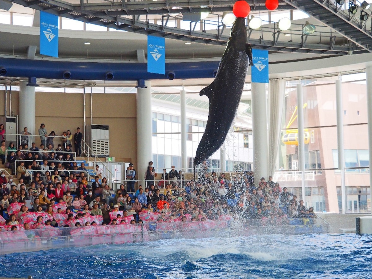 5. Aquaworld Oarai Aquarium (Ibaraki)