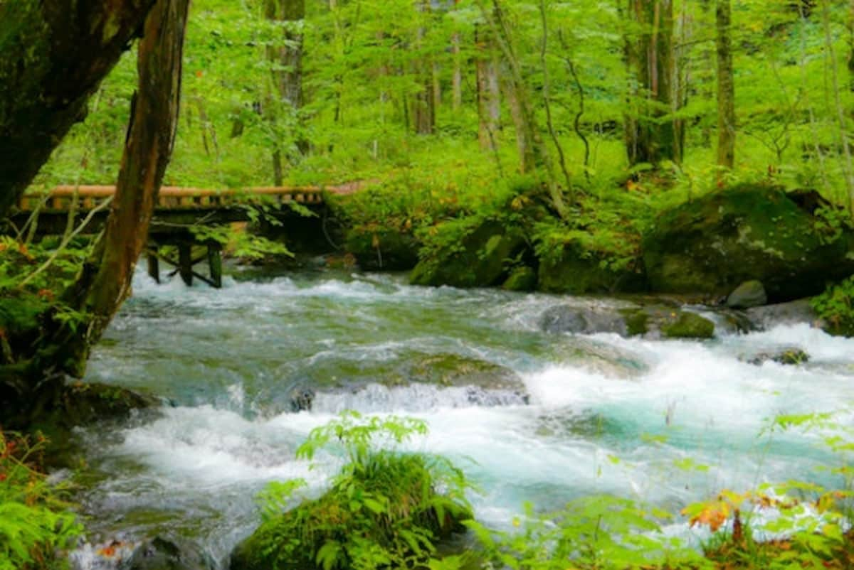 1. Bike Riding by the Oirase Mountain Stream