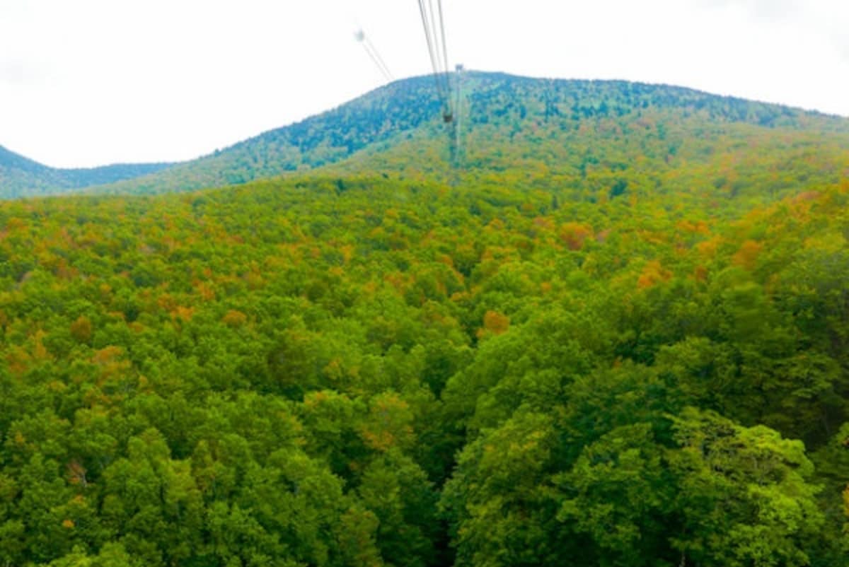 5. Views from Mount Hakkoda