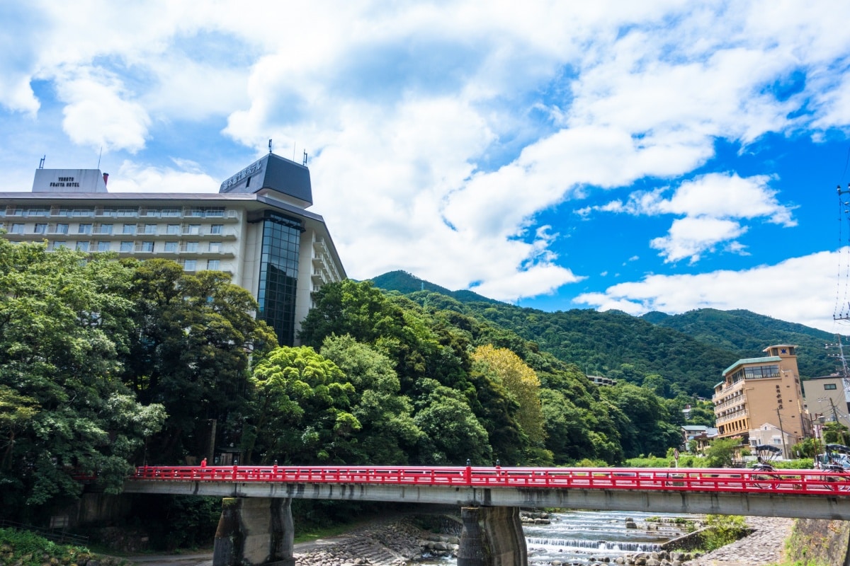 Bridge to Discovery