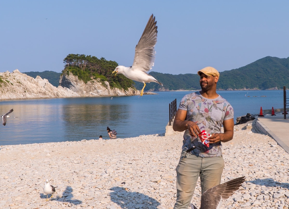 Feed the Birds, ¥100 a Bag