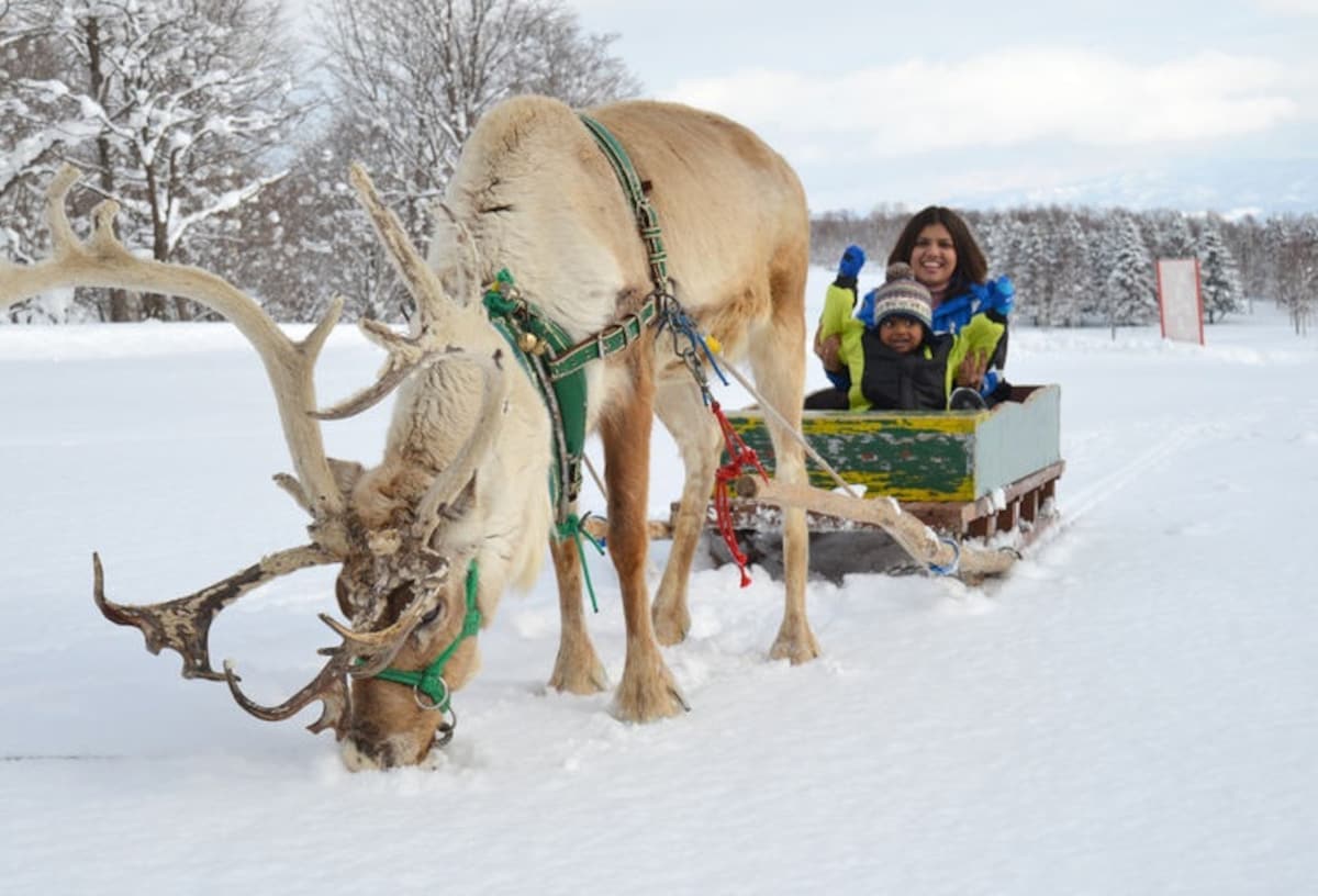 2. Niseko Village (Hokkaido)