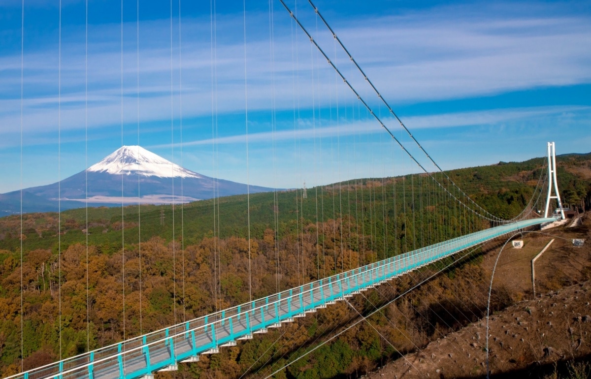 12. From a Suspension Bridge