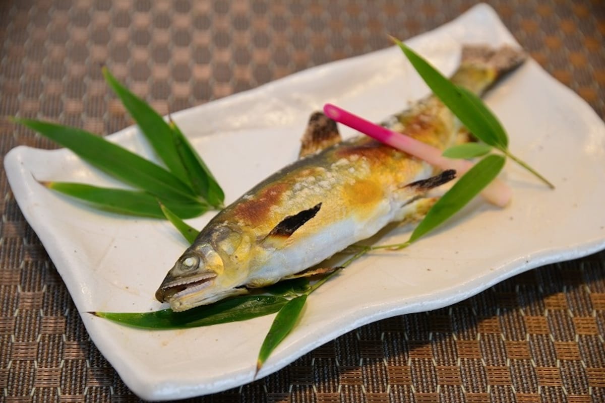 Shunji - Japanese Cuisine — Experience Seasonal Japan Year-Round