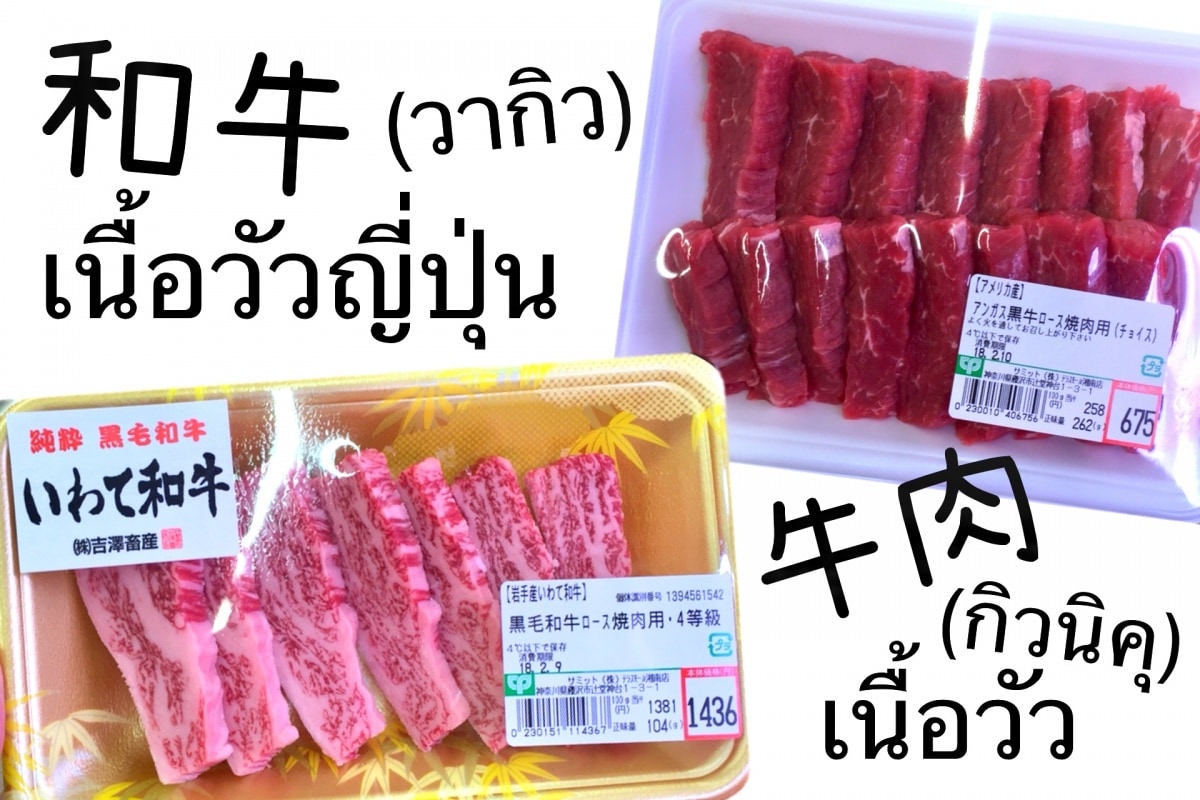 เนื้อญี่ปุ่นกับเนื้อนำเข้า ราคาต่างกันมาก