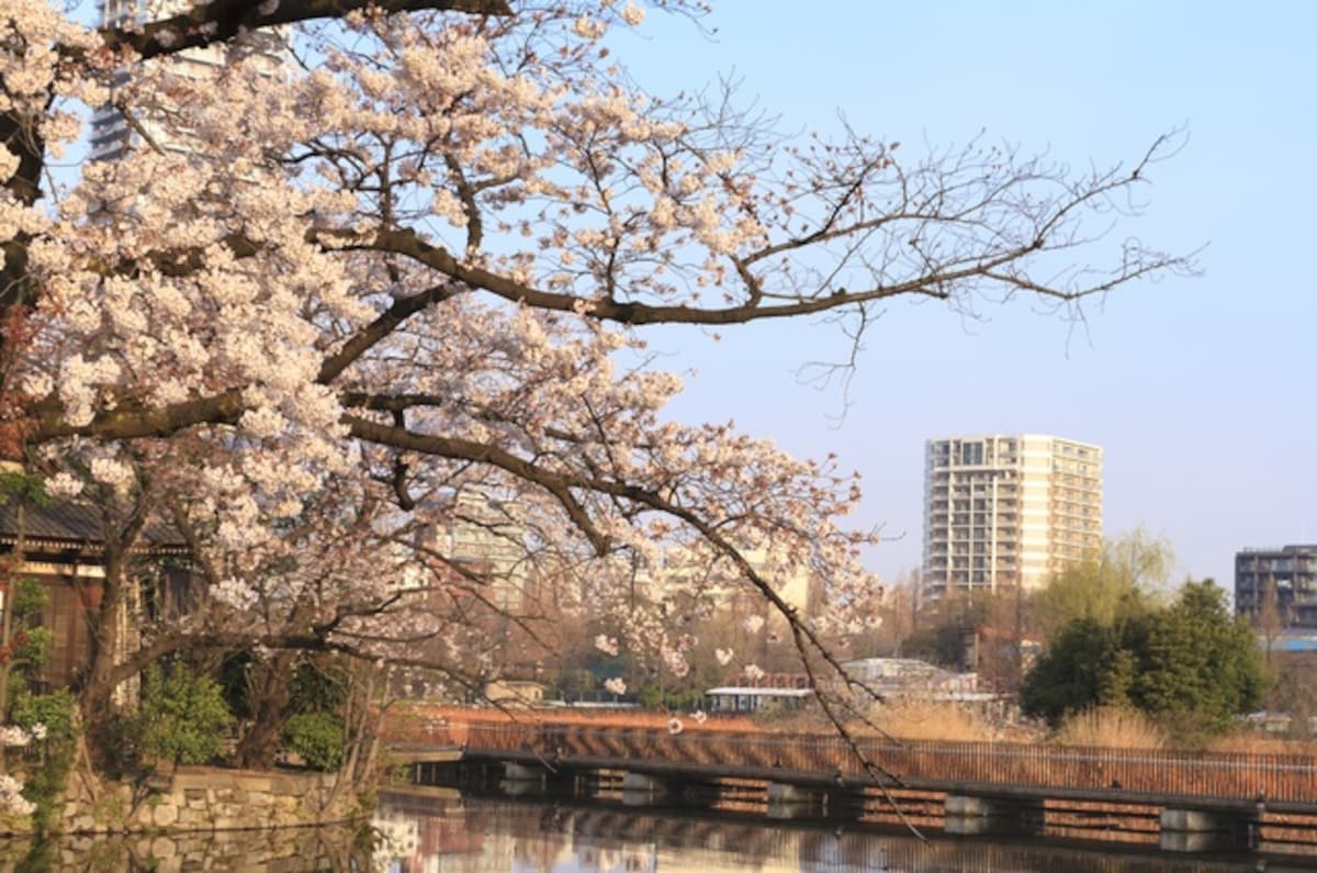 【東京】上野公園及其周邊