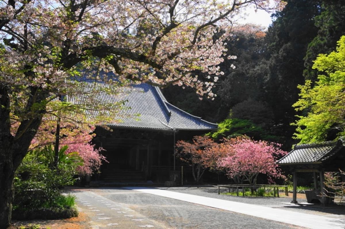 【鎌倉】妙本寺