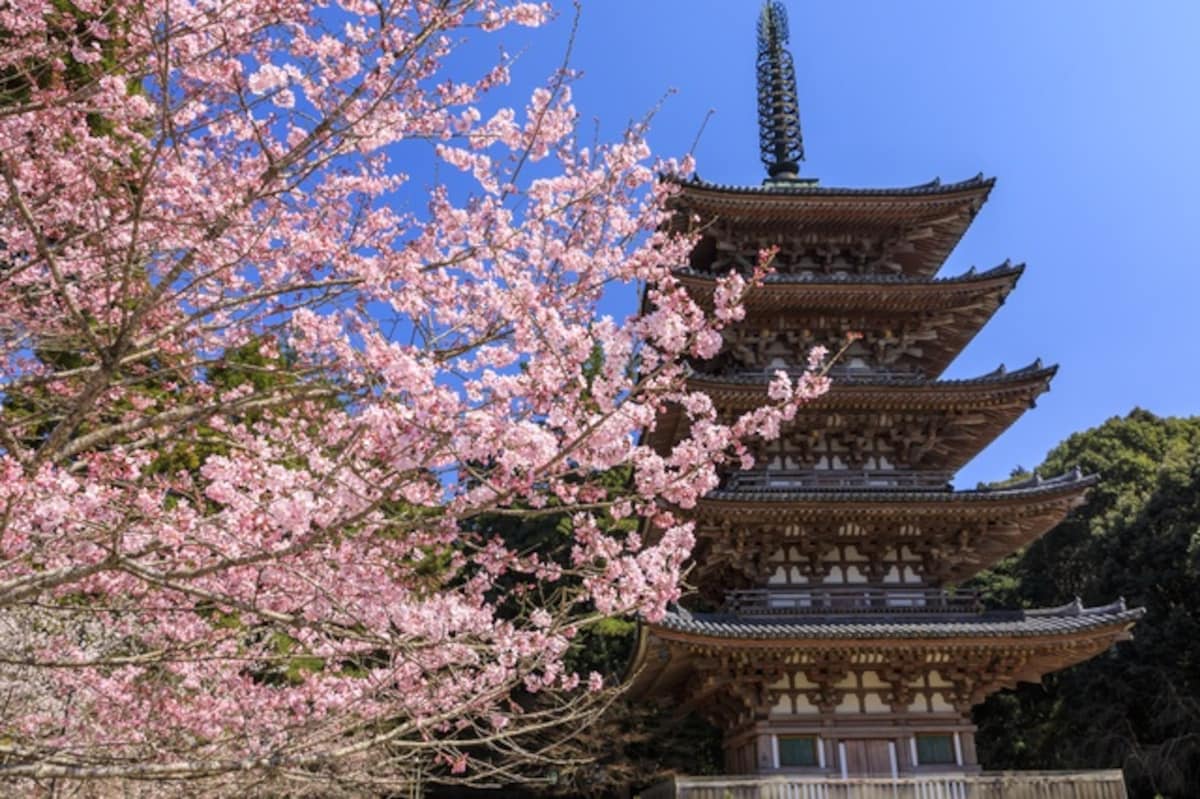 【京都】醍醐寺