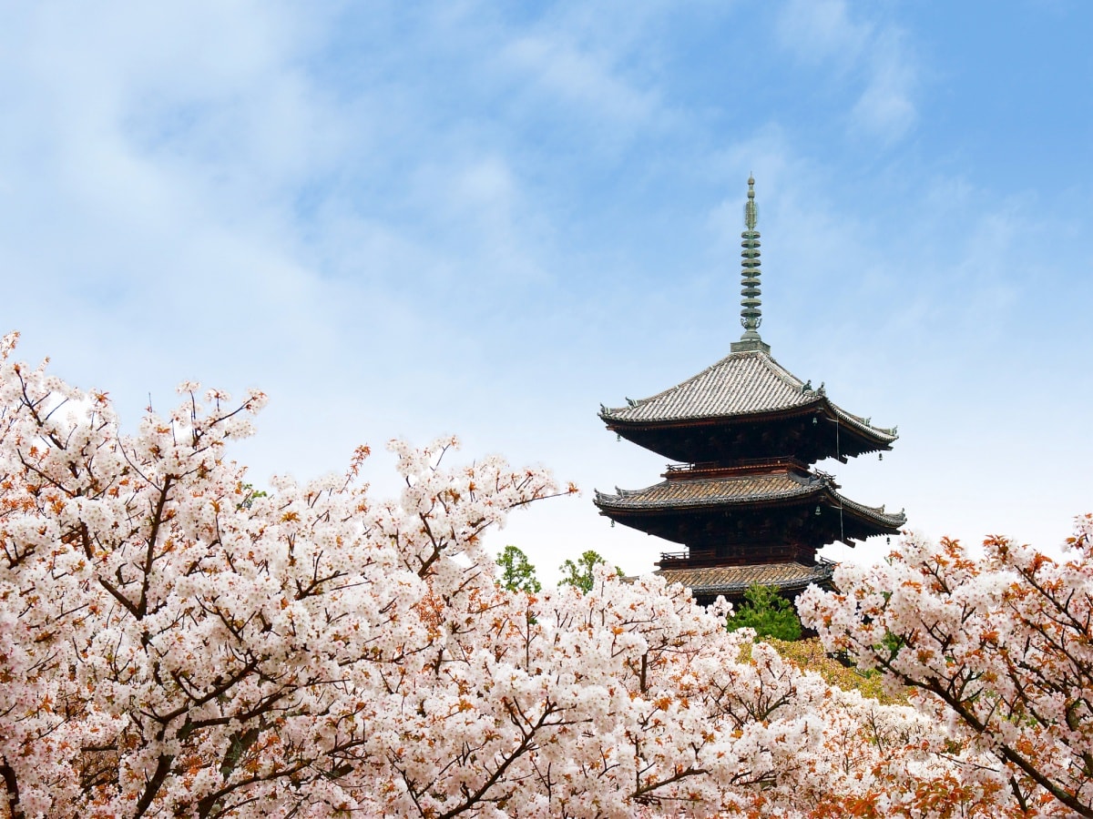 【京都】仁和寺