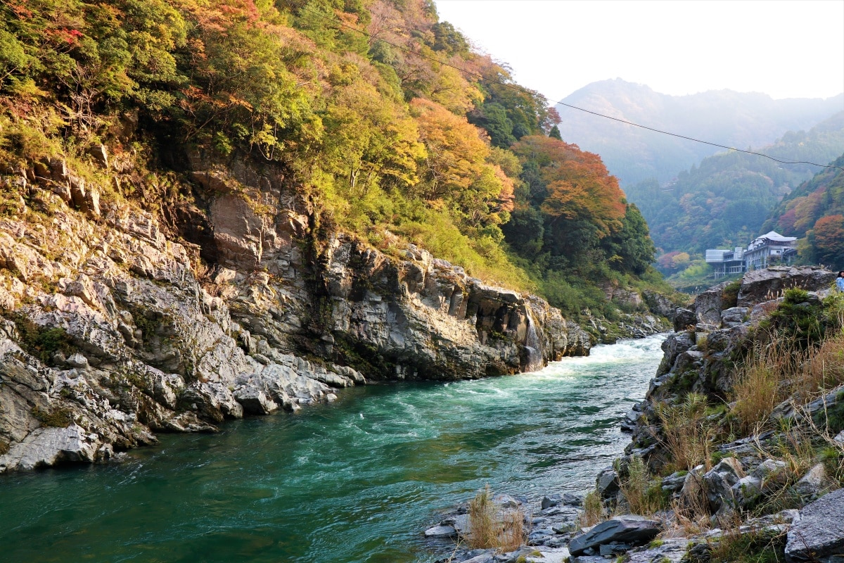 Take a Walk on the Wild Side in Tokushima | All About Japan