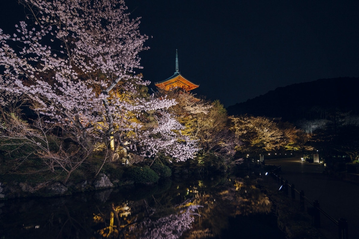 15:30~16:30 기요미즈테라(清水寺)