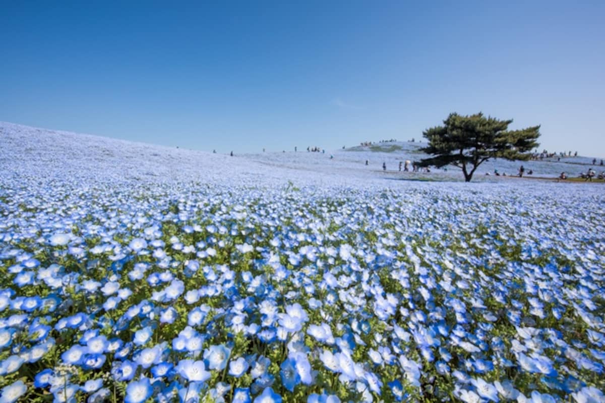 結語｜走一趟花香鳥語的悠閒旅程吧！