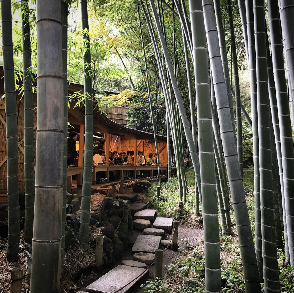 體驗隱士氛圍，竹林中喝一杯香濃抹茶