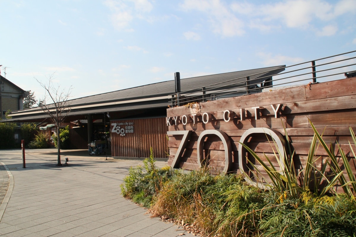 ▍京都親子景點５：日本全國歷史第二悠久・京都市動物園