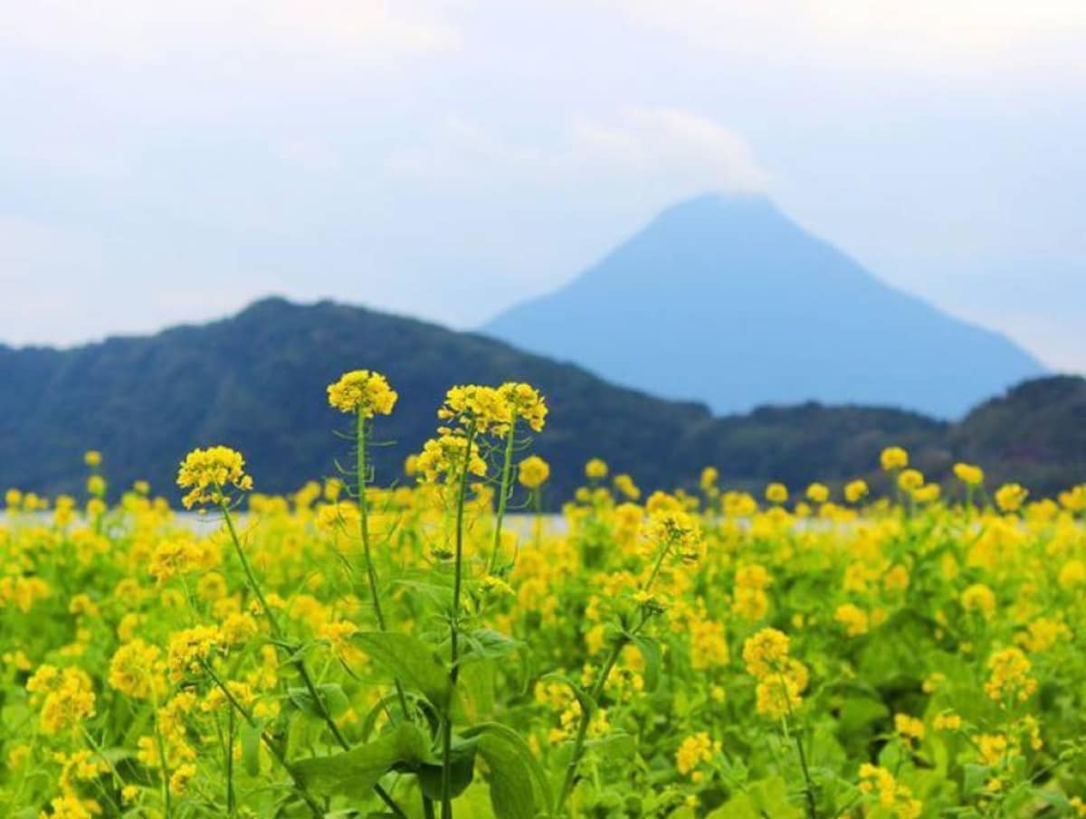 Ibusuki, Kagoshima