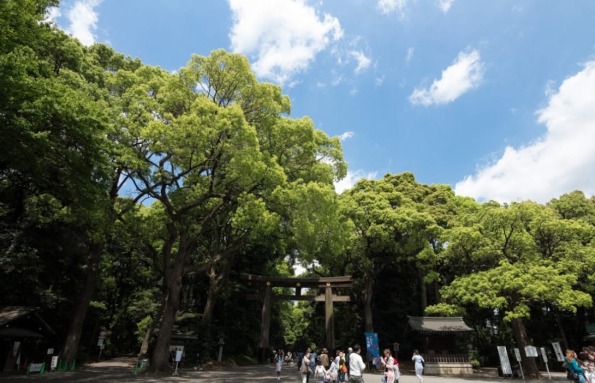 Gardens, Shrines, and Temples: