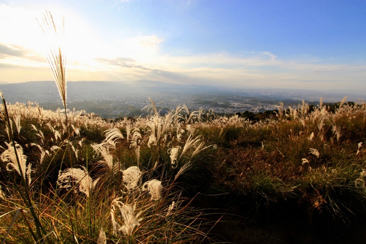 Mount Wakakusa (若草山)