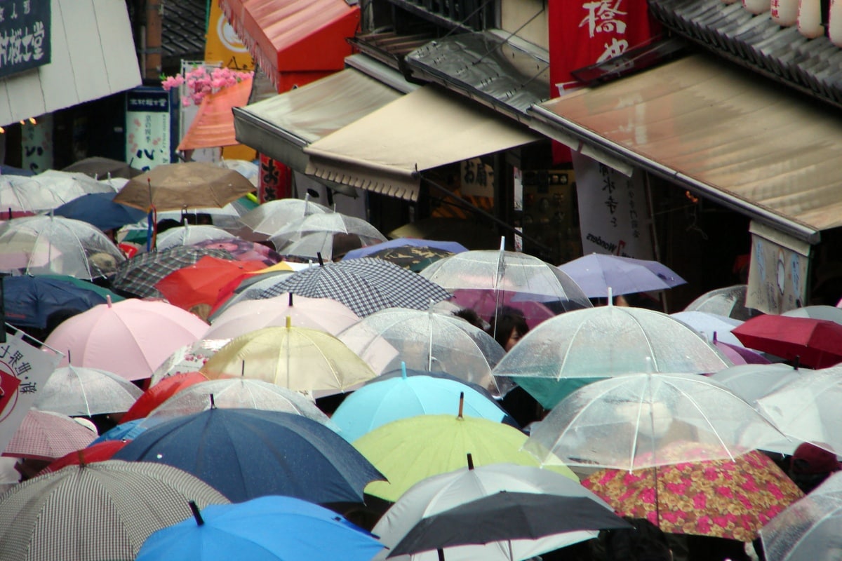 places to buy umbrellas