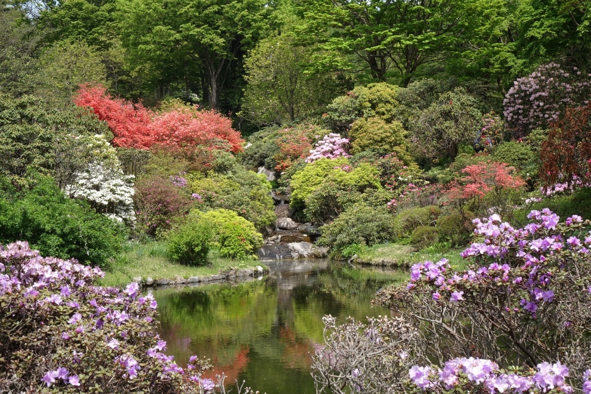 9. สวนป่าธรรมชาติอาคางิ (Akagi Nature Park)