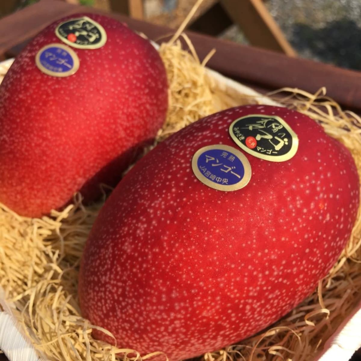 5 Most Expensive Fruits That Are Made In Japan All About Japan