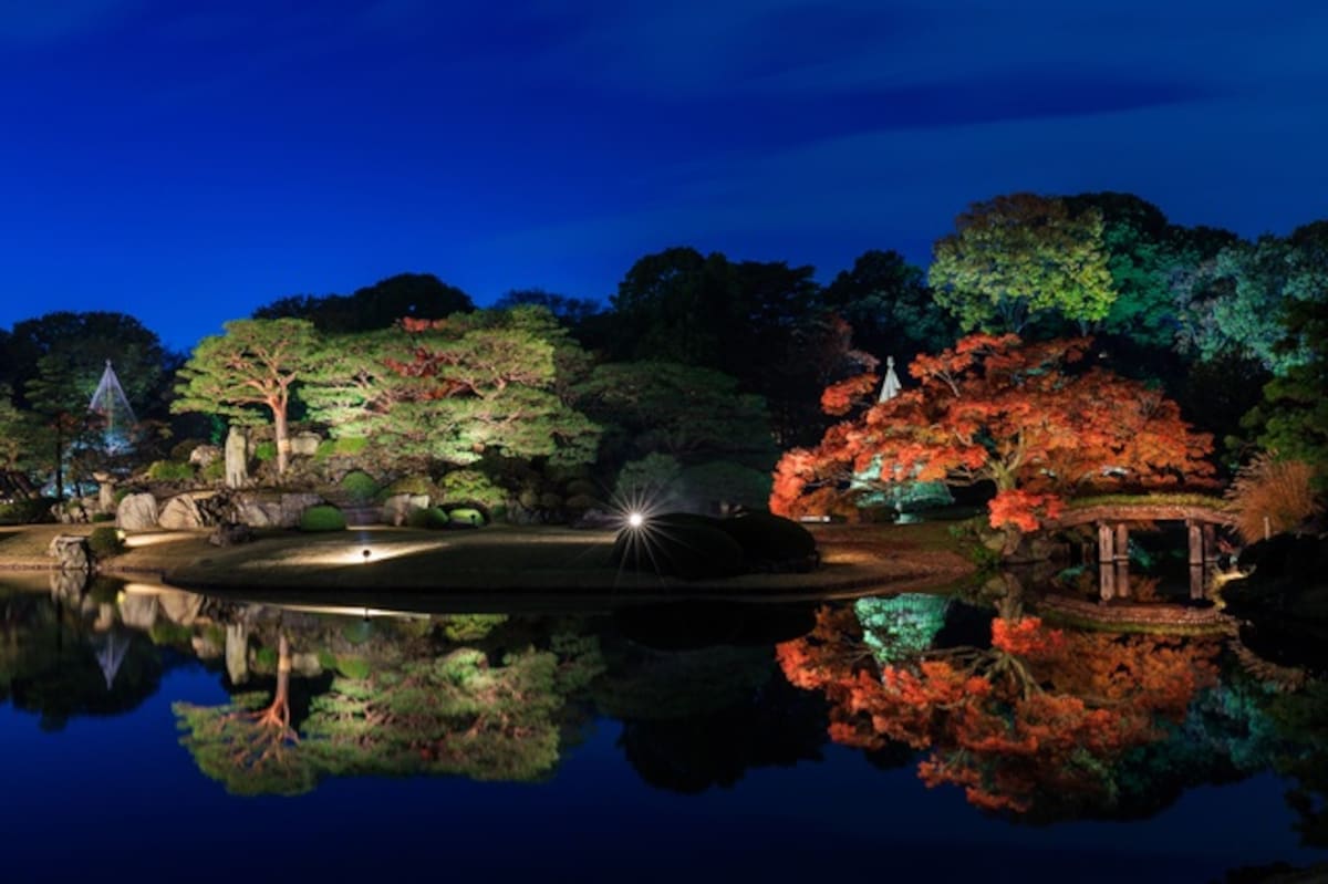 • Tokyo Autumn Leaves