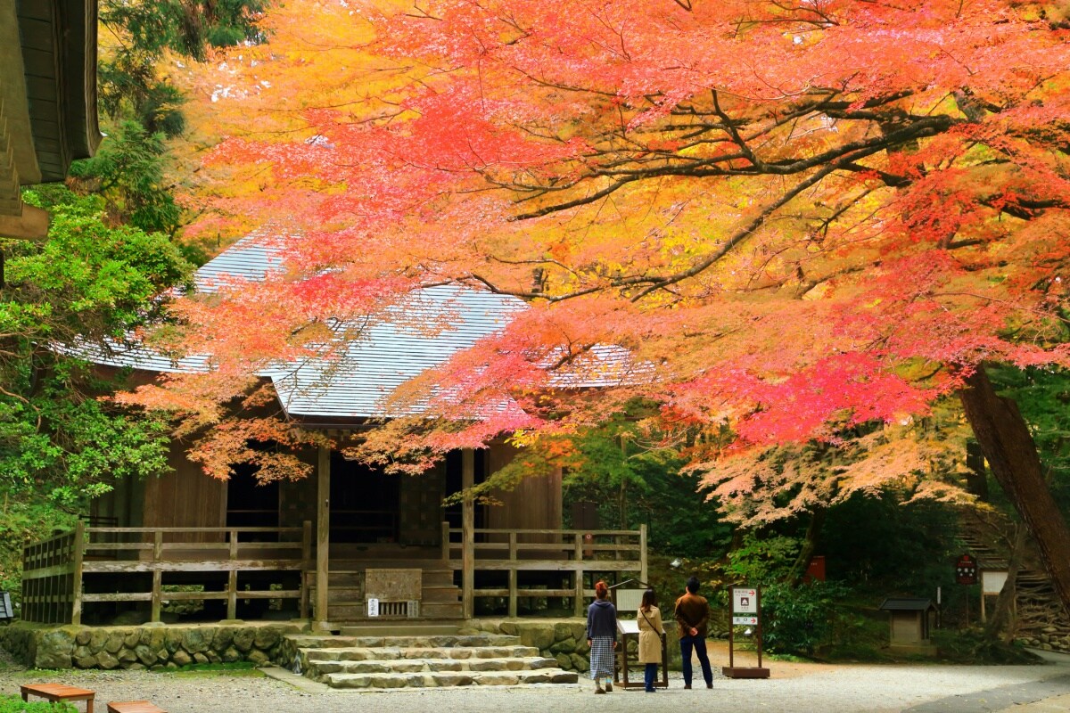 8. วัดชูซอนจิ อิวาเตะ  (Chuson-ji Temple, Iwate)